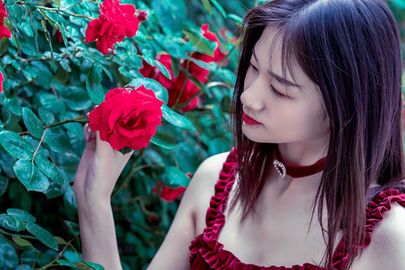 【央视快评】走出一条中国特色城市现代化新路子 